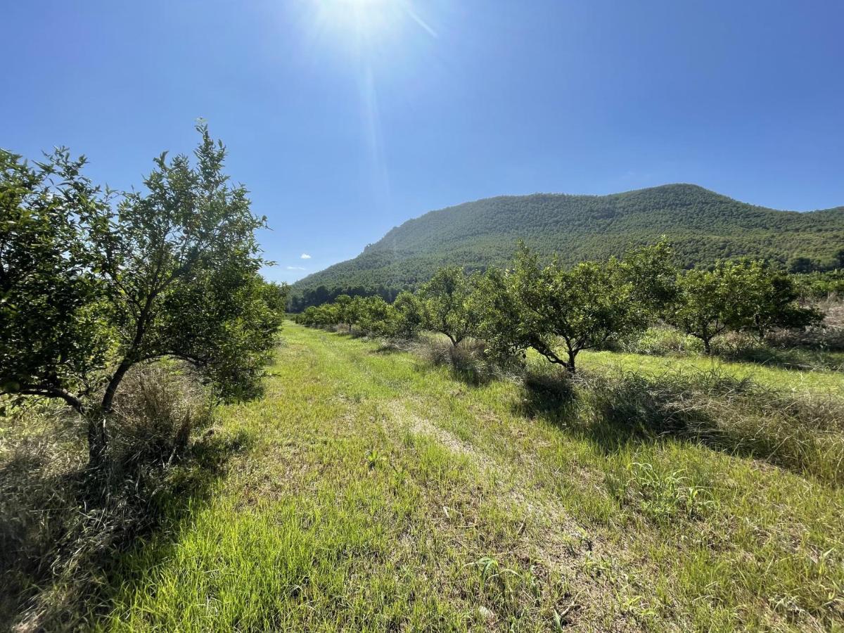 Casa Ramoncico. Finca El Campillo Blanca Eksteriør bilde