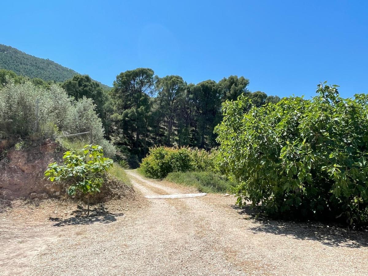 Casa Ramoncico. Finca El Campillo Blanca Eksteriør bilde