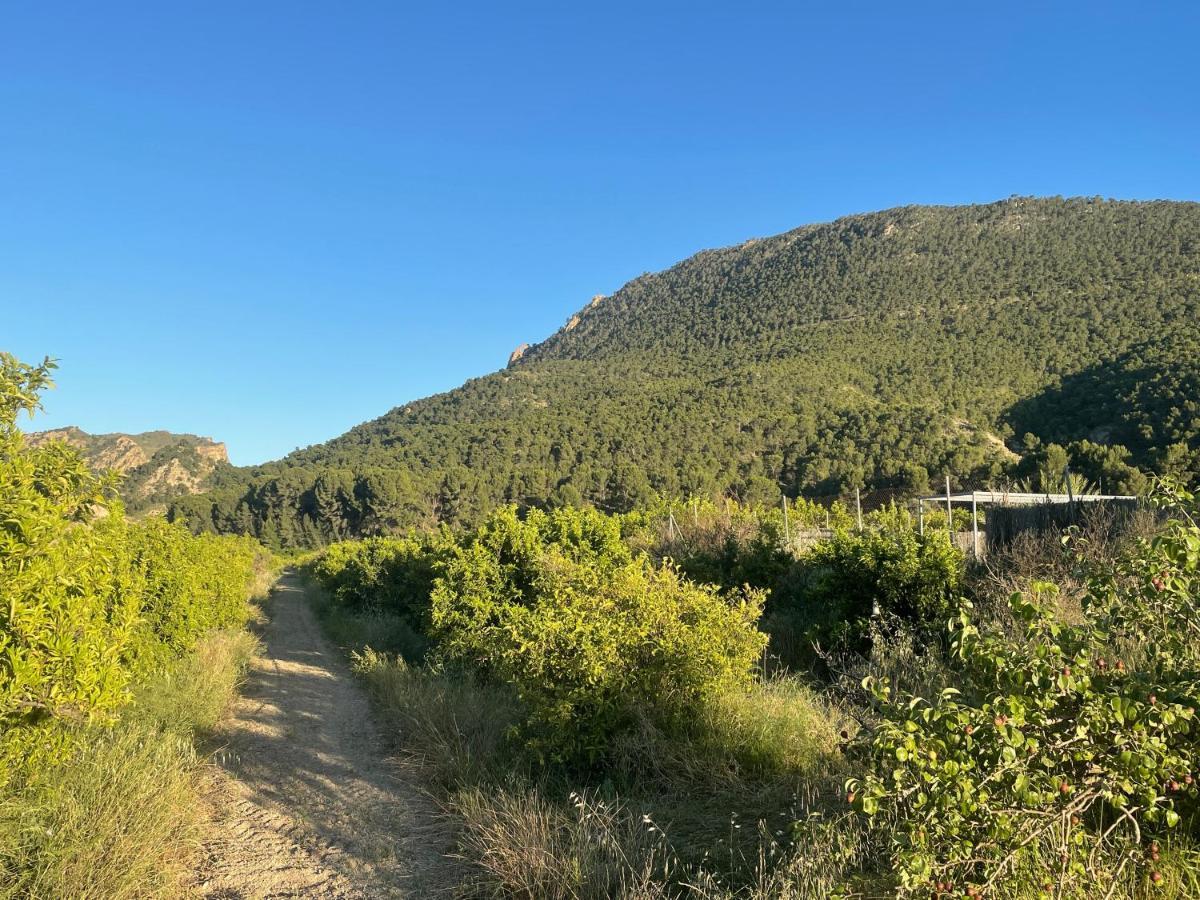 Casa Ramoncico. Finca El Campillo Blanca Eksteriør bilde