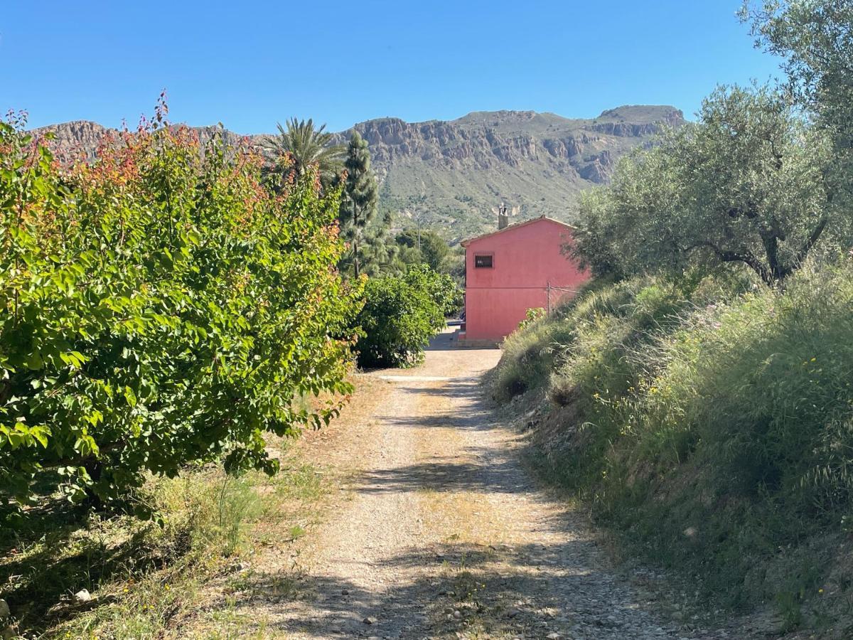 Casa Ramoncico. Finca El Campillo Blanca Eksteriør bilde