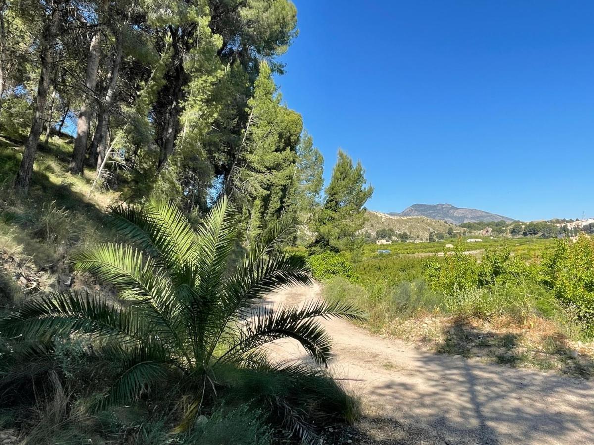 Casa Ramoncico. Finca El Campillo Blanca Eksteriør bilde